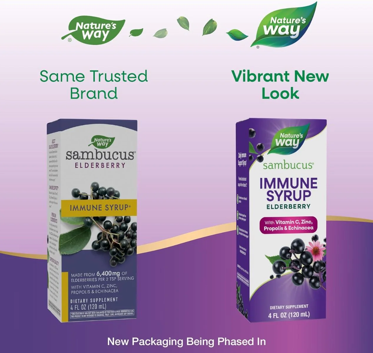 Sambucus Immune Oz Syrup Black Elderberry - Image 2