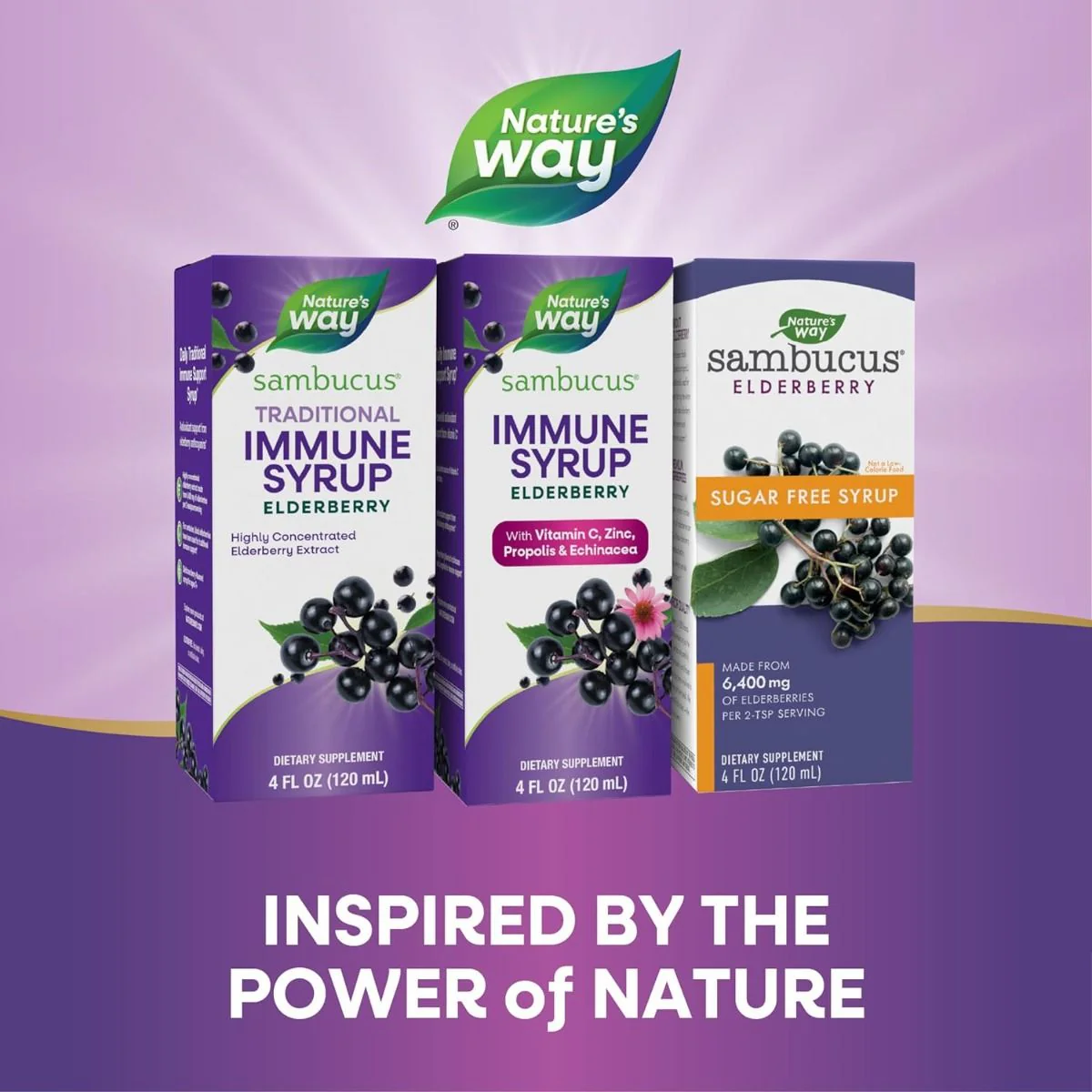 Sambucus Immune Oz Syrup Black Elderberry - Image 7