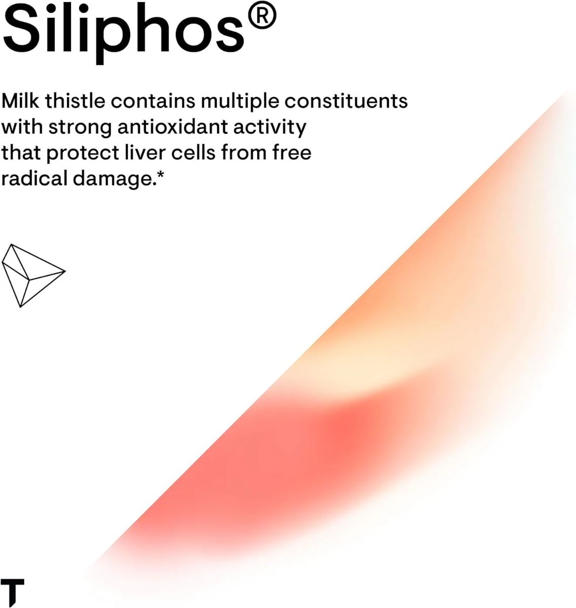 Milk Thistle Phytosome (formerly Siliphos) 90 Veggie Caps - Image 4