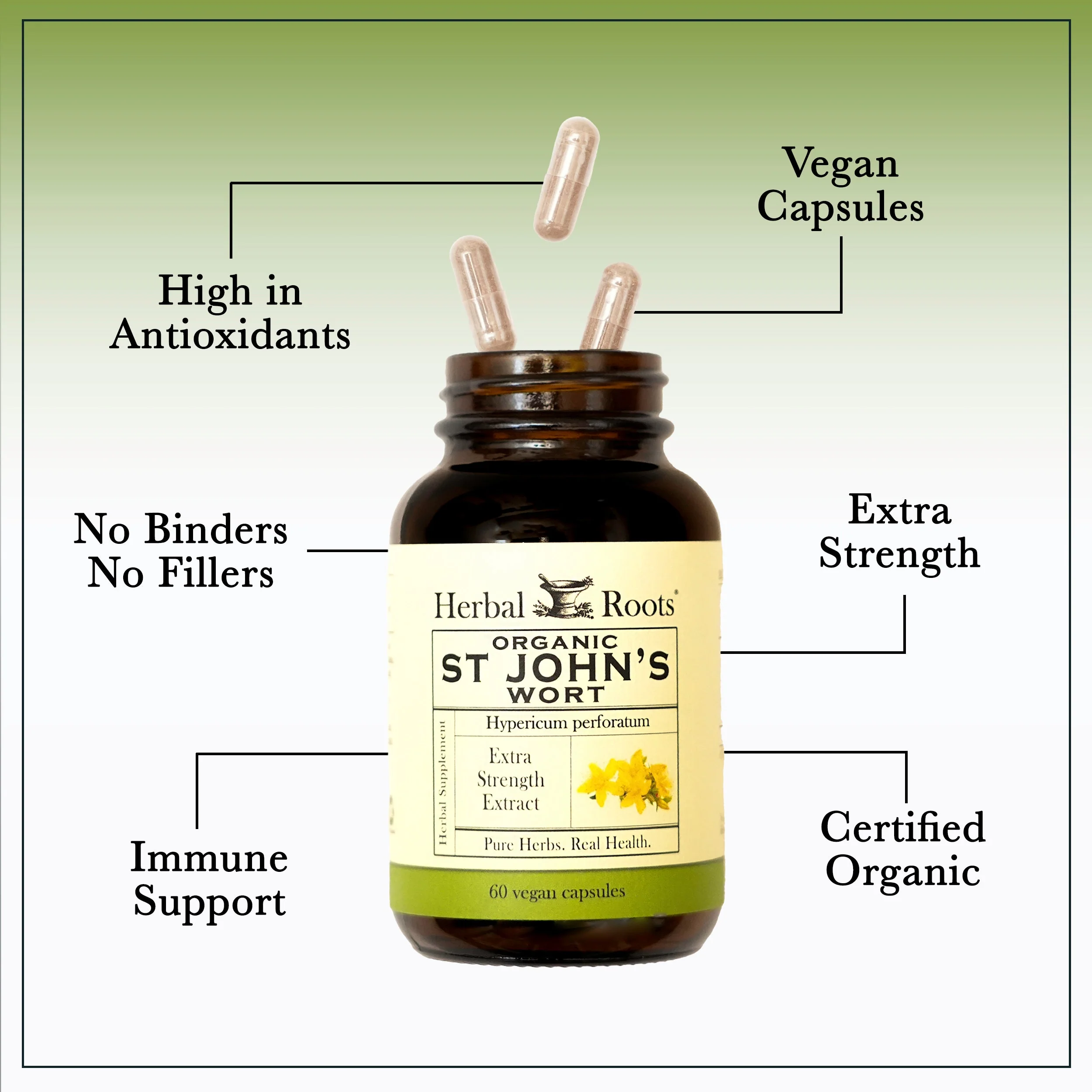 St. John's Wort - Image 3