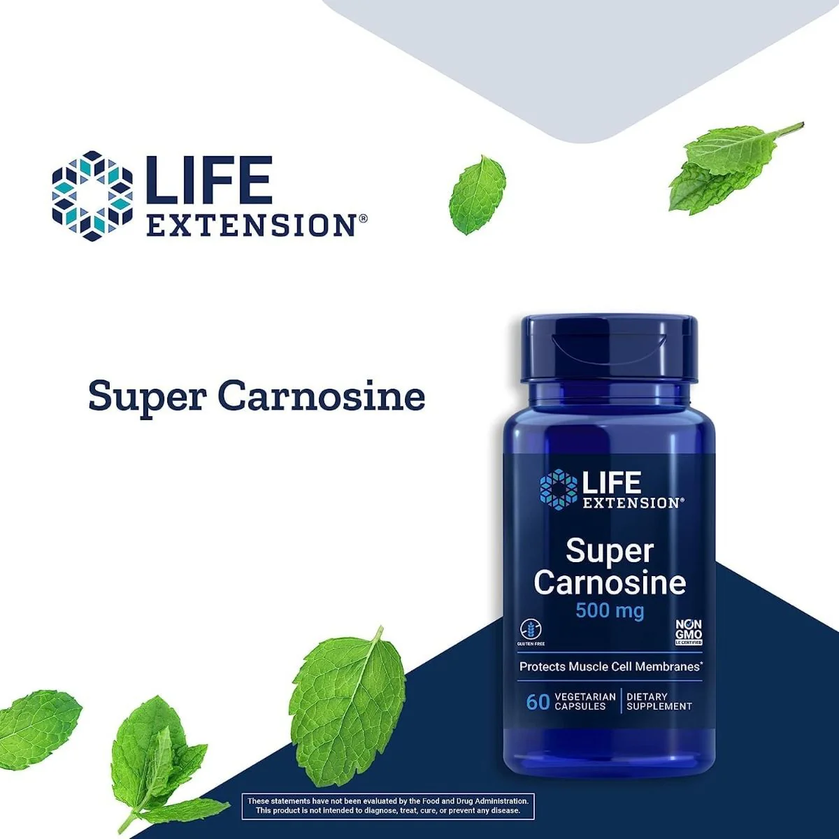 Super Carnosine 500 MG 60 Veggie Caps - Image 9