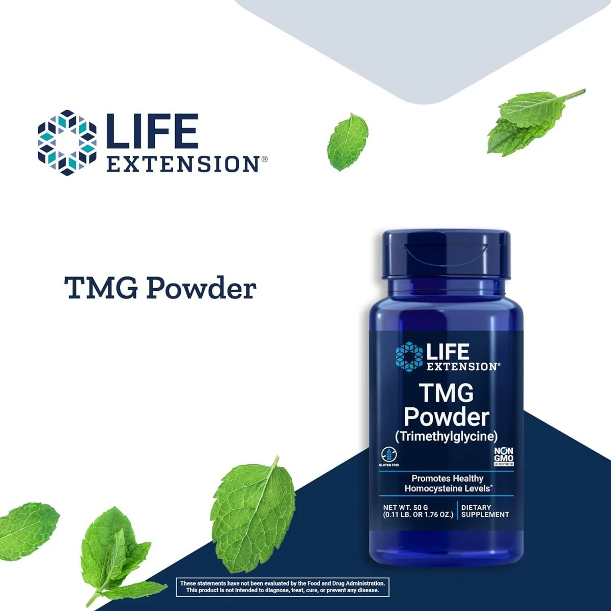TMG Powder 50 G Powder - Image 7