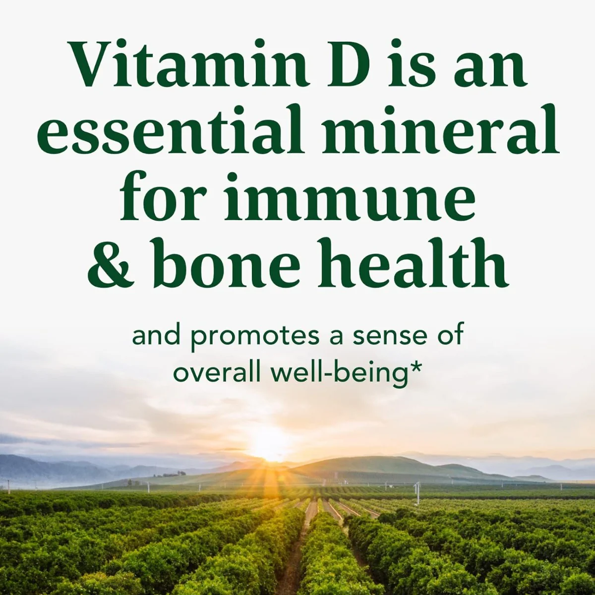 Vitamin D3 2000 IU 90 Tablets - Image 4