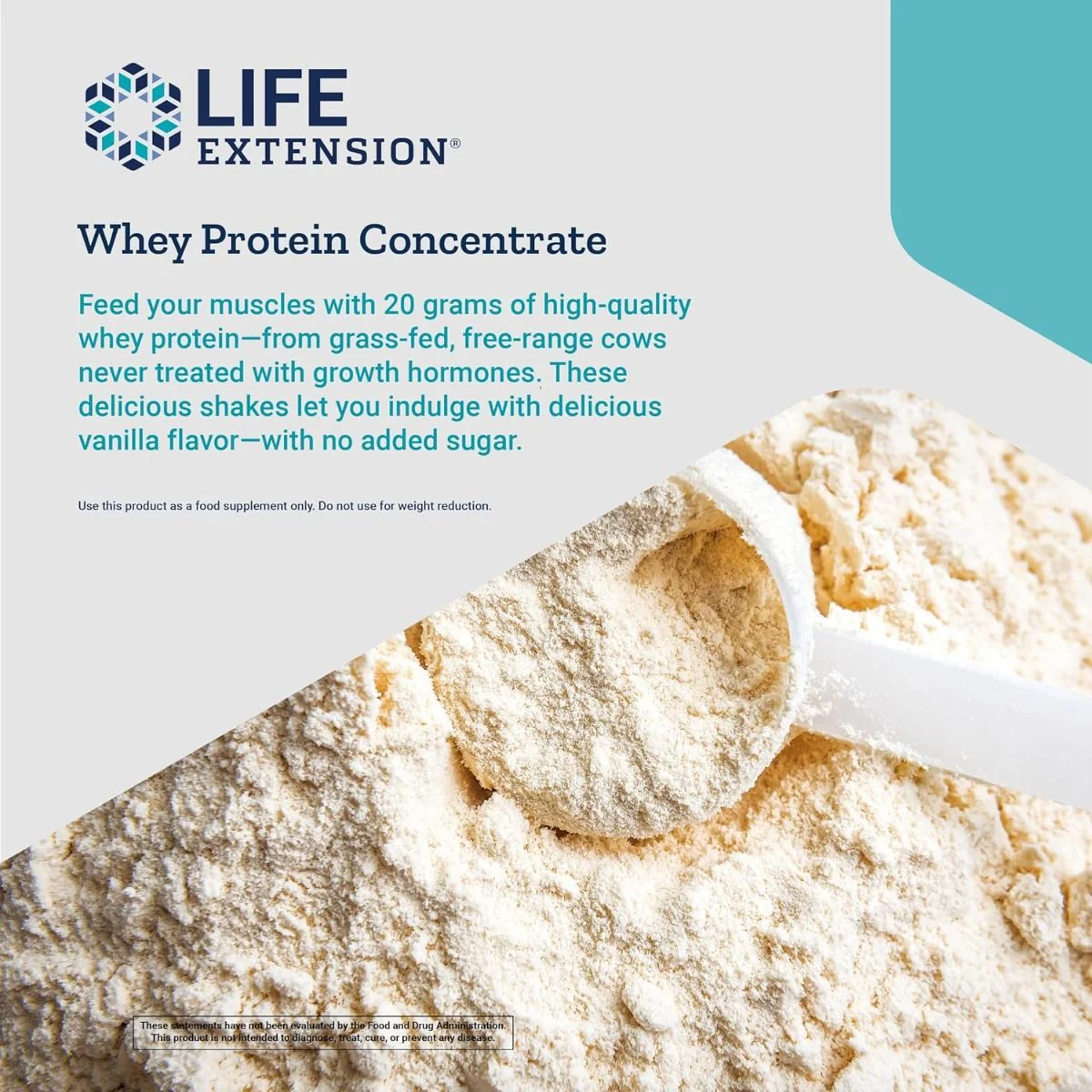 Wellness Code Whey Protein Concentrate 1.10 Lb Or 17.64 Oz (500 G) Powder Vanilla - Image 7