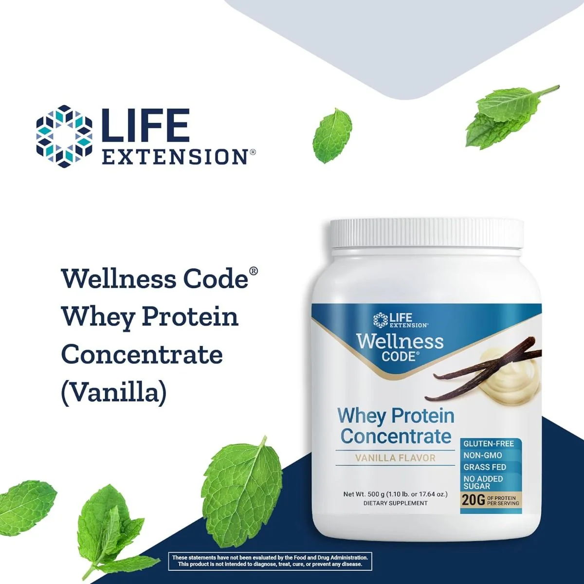 Wellness Code Whey Protein Concentrate 1.10 Lb Or 17.64 Oz (500 G) Powder Vanilla - Image 8