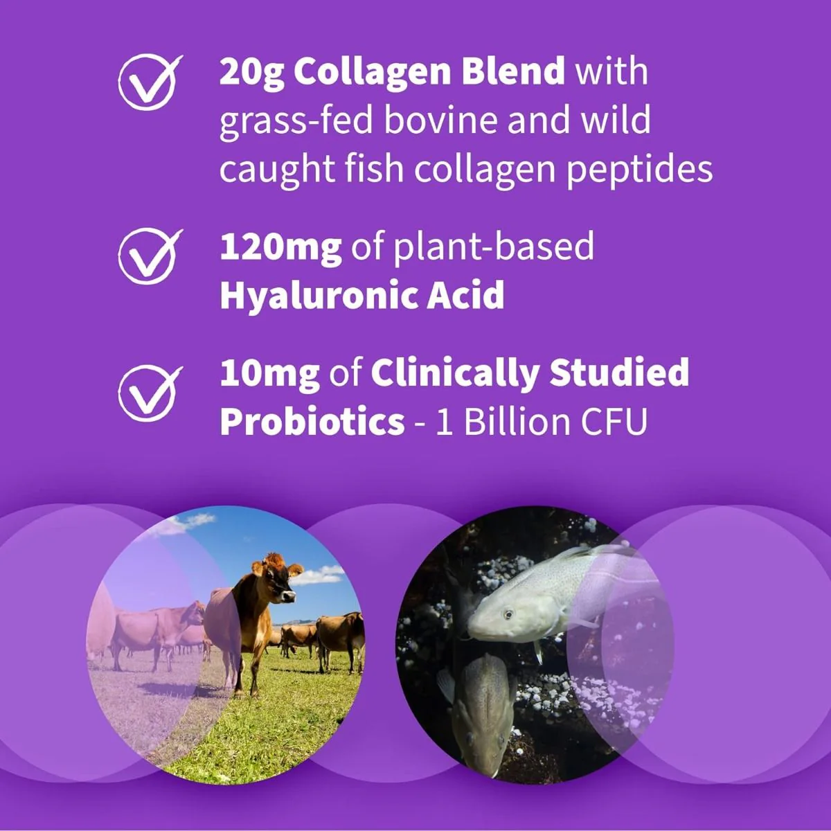 Wild Caught & Grass Fed Collagen 9.52 Oz (270g) Powder Unflavored - Image 3